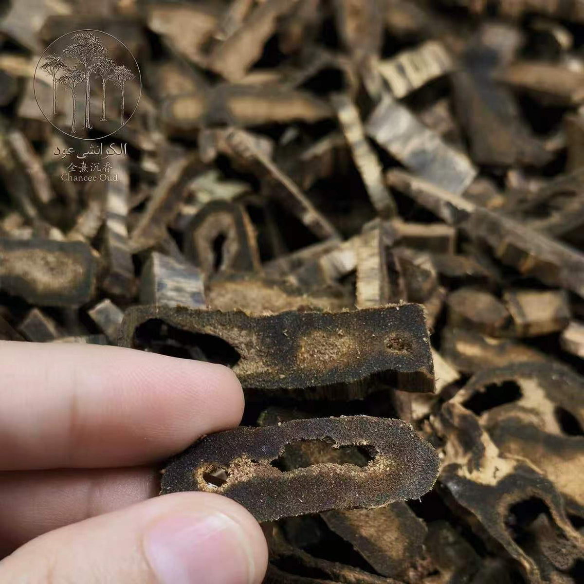 ✨ رقائق عود أسود غني بالدهن | Premium Dark Resin Agarwood Chips ✨